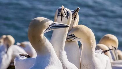 “出片式旅行”，正在毁掉当代人的假期？