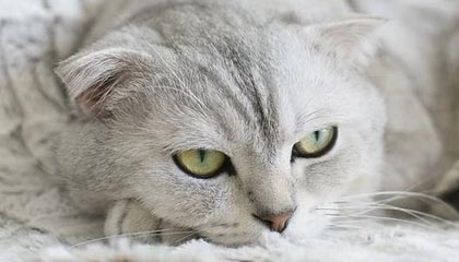 民生银行长沙分行开展“反赌反诈新媒体创意宣传大赛”活动