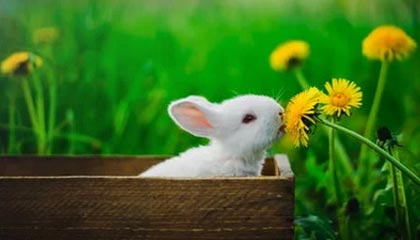 省指挥部前方工作组组长朱洪波在我市检查疫情防控工作慰问一线防疫人员